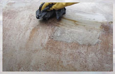 ���P���ϴ���c